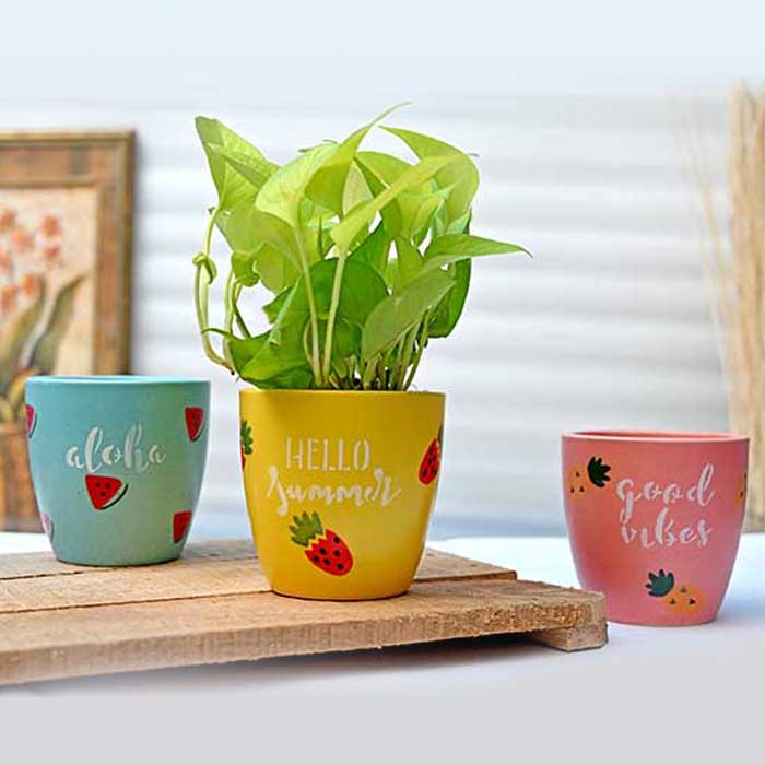 Sweet Summer Planter - Set of 3 (Without Plant).