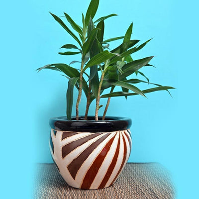 Tribal Stripe Ceramic Planter (without Plant).