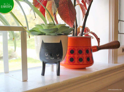 alt="cute cat pot"