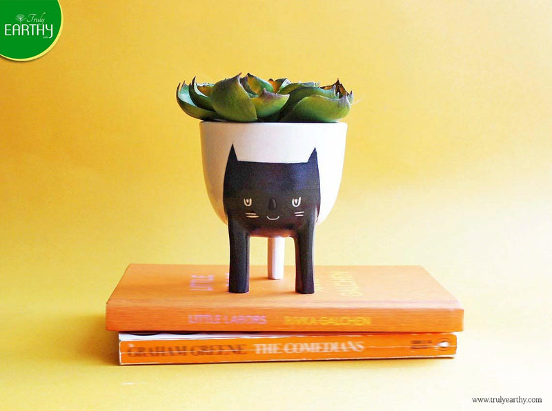 alt="cute cat planter"