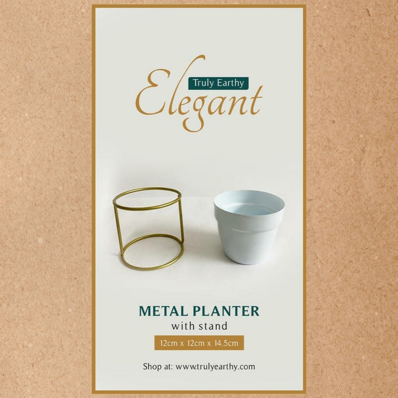 alt="swish metal planter"