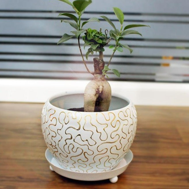 alt="opulent luxe metal planter"