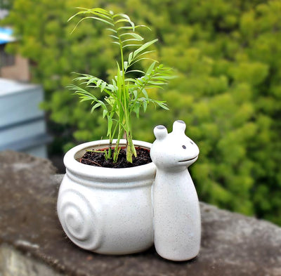 alt="truly earthy snail ceramic pot"