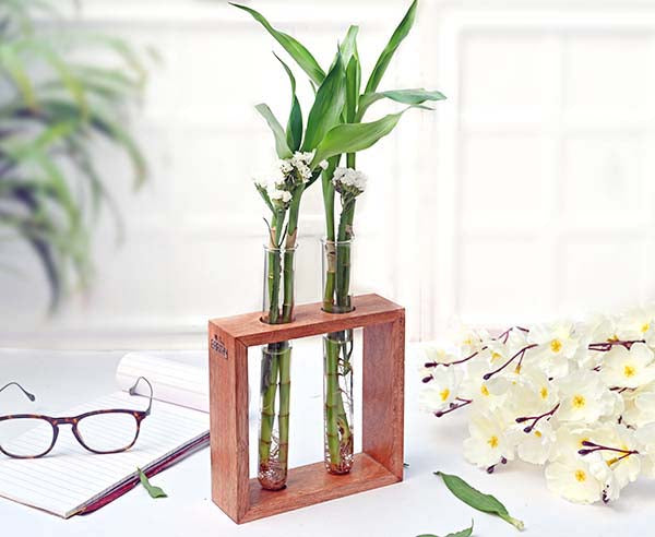 alt="truly earthy test tube planter"