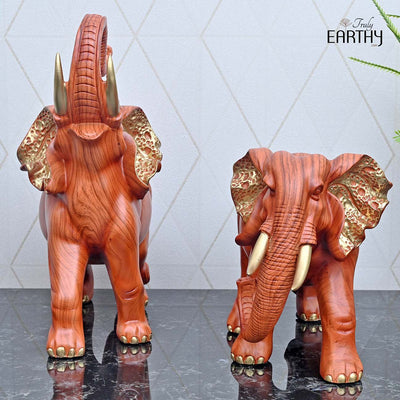 Elegant African Elephant Pair - Set of 2