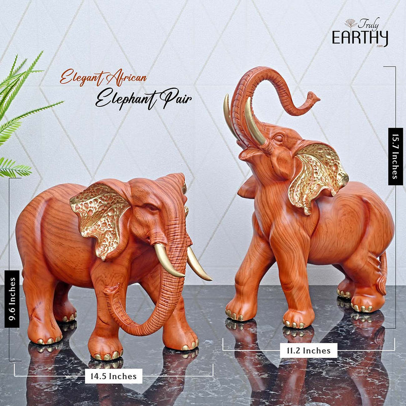 Elegant African Elephant Pair - Set of 2